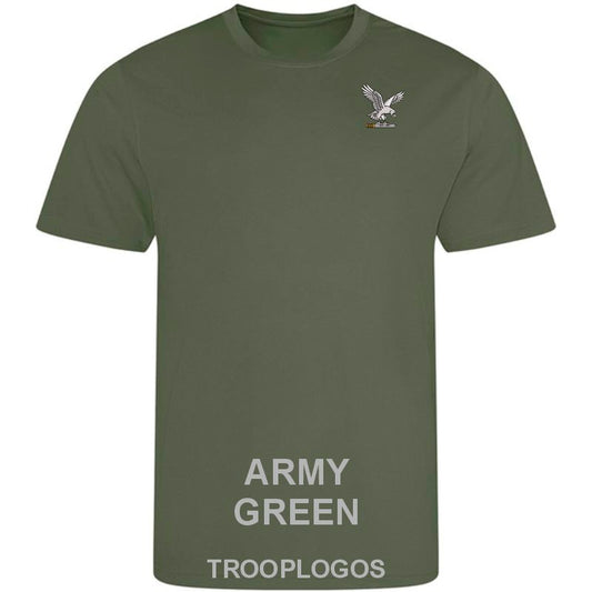 Joint SF Aviation Wing Sports Wicking T-shirt