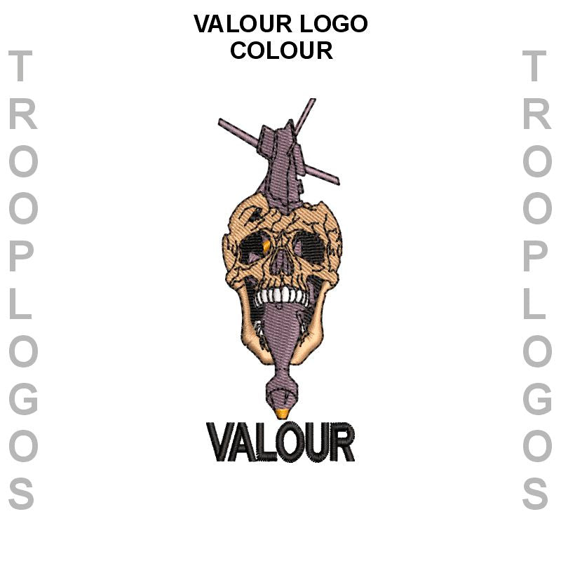 JTAC TACP Valour Logo
