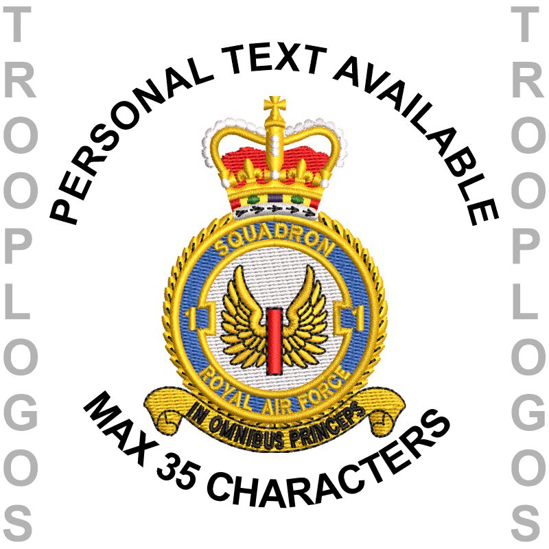 1 F Sqn RAF Badge
