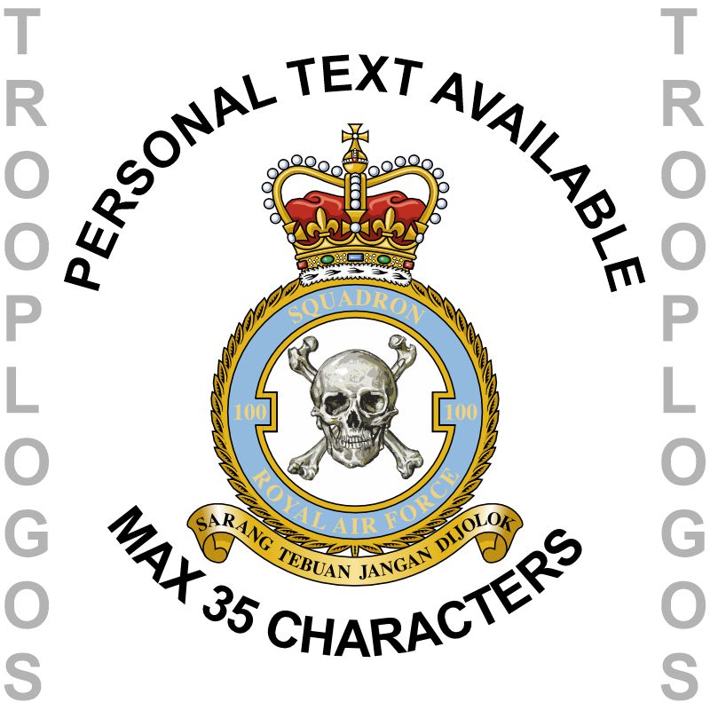 100 Sqn RAF Badge