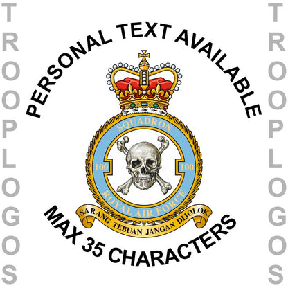 100 Sqn RAF Badge