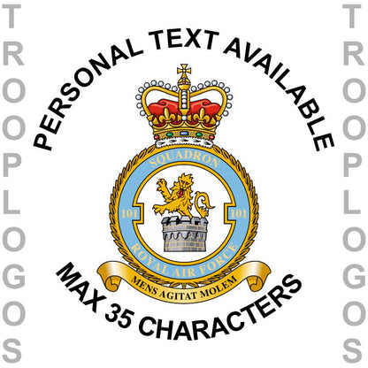 101 Sqn RAF Badge