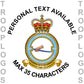 115 Squadron RAF Hoodie