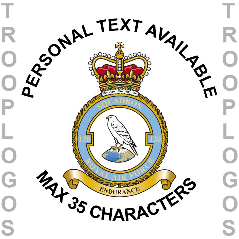 120 Sqn RAF Badge