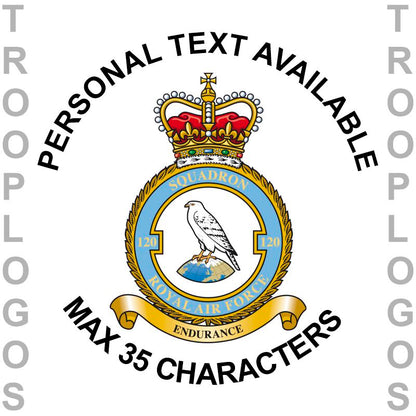 CXX Squadron RAF Hoodie