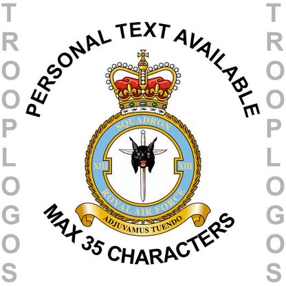 13 Sqn RAF Badge