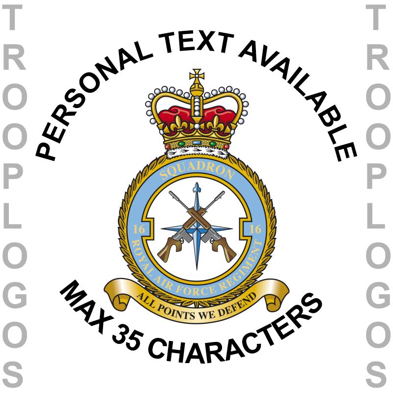 16 Sqn RAF Regiment Hoodie