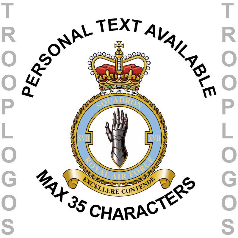 17 Sqn RAF Badge