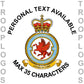 18 Sqn RAF Badge
