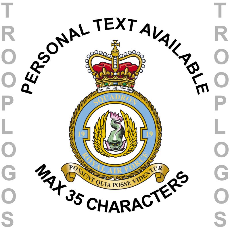 19 Sqn RAF Badge