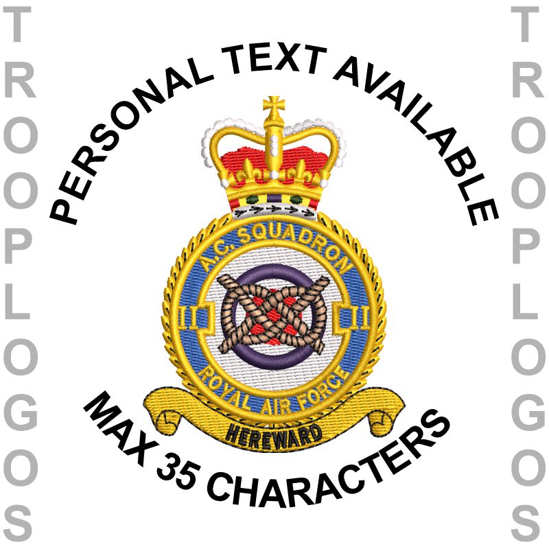 2 AC Sqn RAF Badge