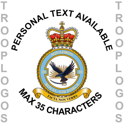 20 Sqn RAF Badge