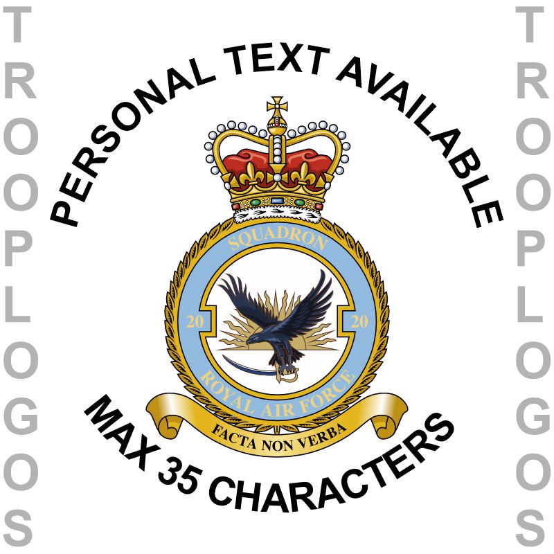 20 Squadron RAF Hoodie