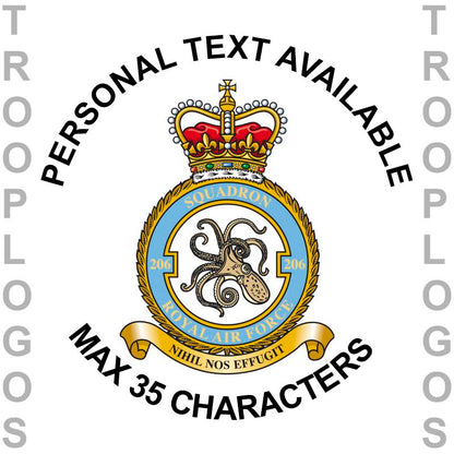 206 Sqn RAF Badge