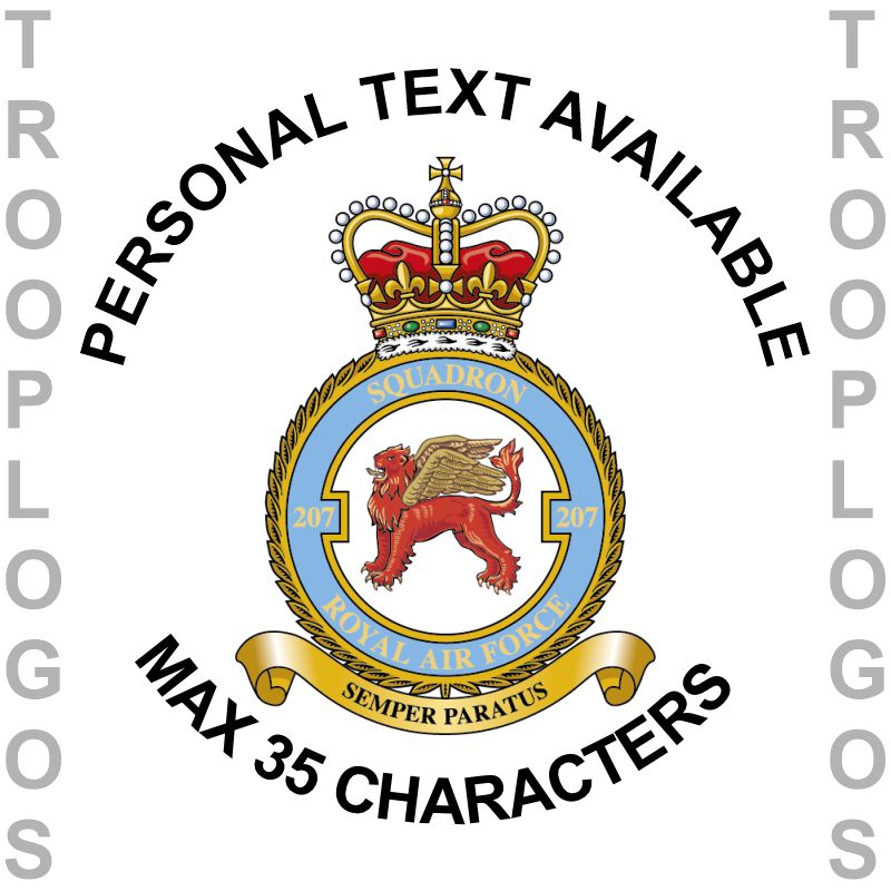 207 Sqn RAF Badge