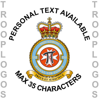 22 Sqn RAF Badge