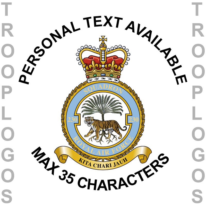 230 Sqn RAF Badge