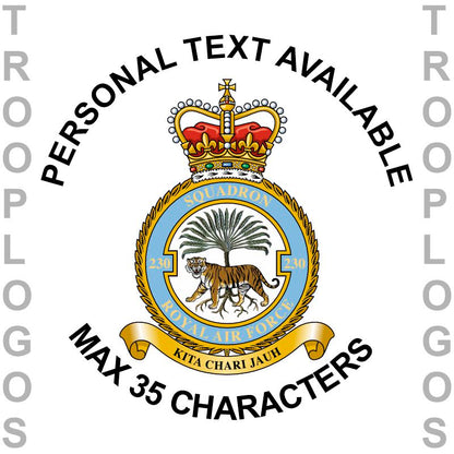 230 Sqn RAF Badge