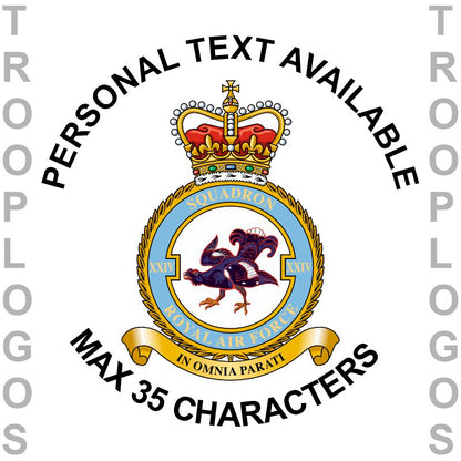24 Sqn RAF Badge