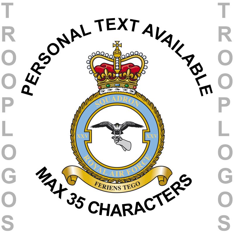 25 Sqn RAF Badge