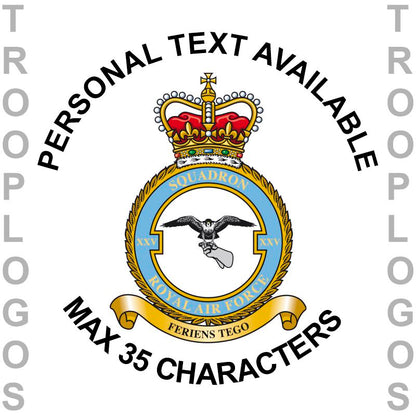 25 Sqn RAF Badge