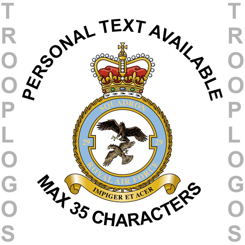 29 Sqn RAF Badge