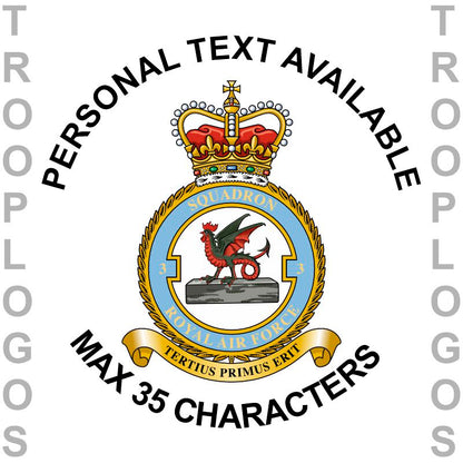 3 F Sqn RAF Badge