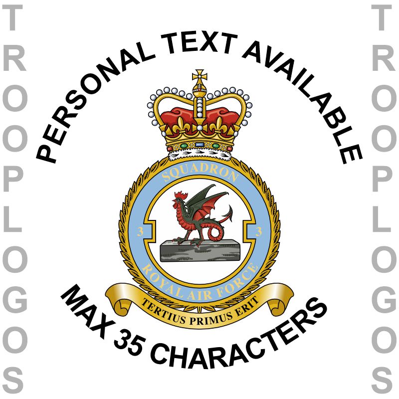 3 (F) Squadron RAF Polo Shirt