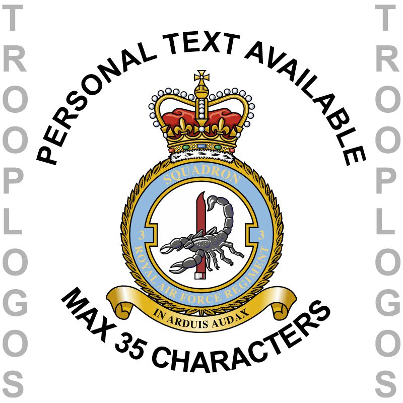 3 Sqn RAF Regt Badge