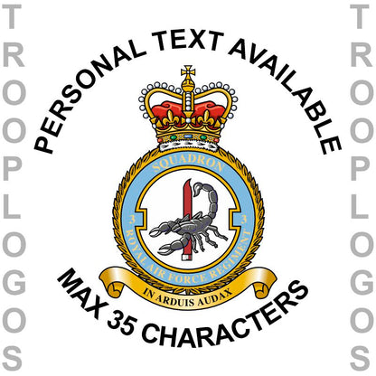 3 Sqn RAF Regiment Fleece Jacket