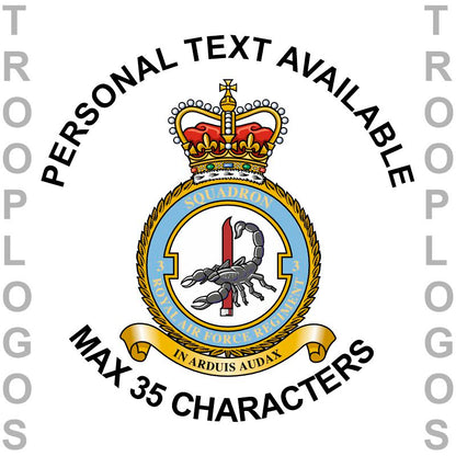 3 Sqn RAF Regiment Sweatshirt