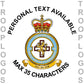 34 Sqn RAF Regt Badge