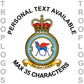 45 Sqn RAF Badge