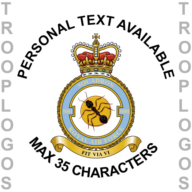 5001 Sqn RAF Badge