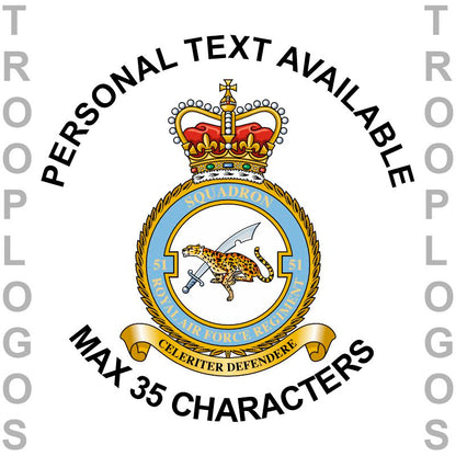 51 Sqn RAF Regiment Hoodie