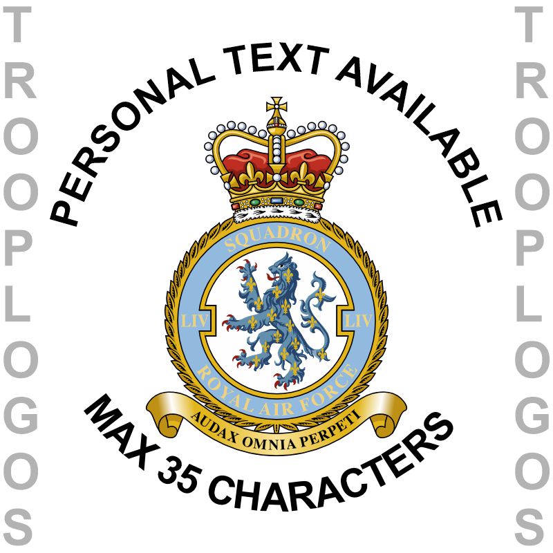 54 Sqn RAF Badge