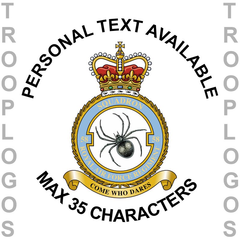 58 Sqn RAF Regt Badge