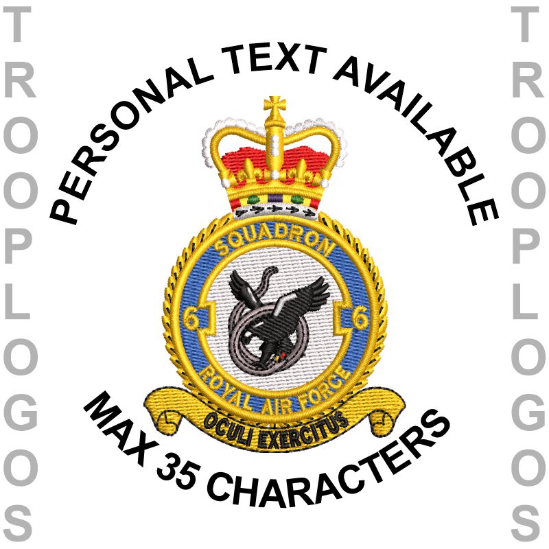 6 Sqn RAF Badge