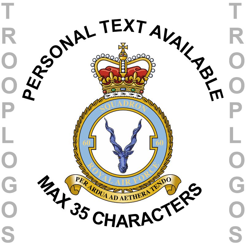 60 Sqn RAF Badge