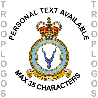 60 Sqn RAF Badge