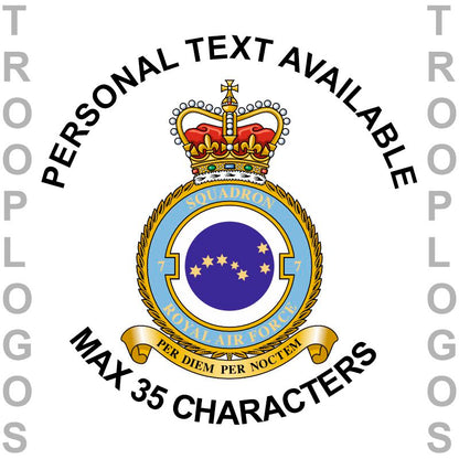 7 Sqn RAF Badge