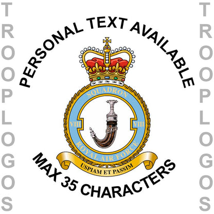 8 Sqn RAF Badge