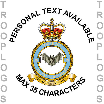 IX (B) Squadron RAF Hoodie