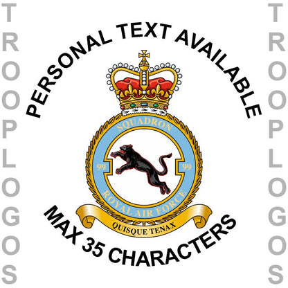99 Squadron RAF Hoodie