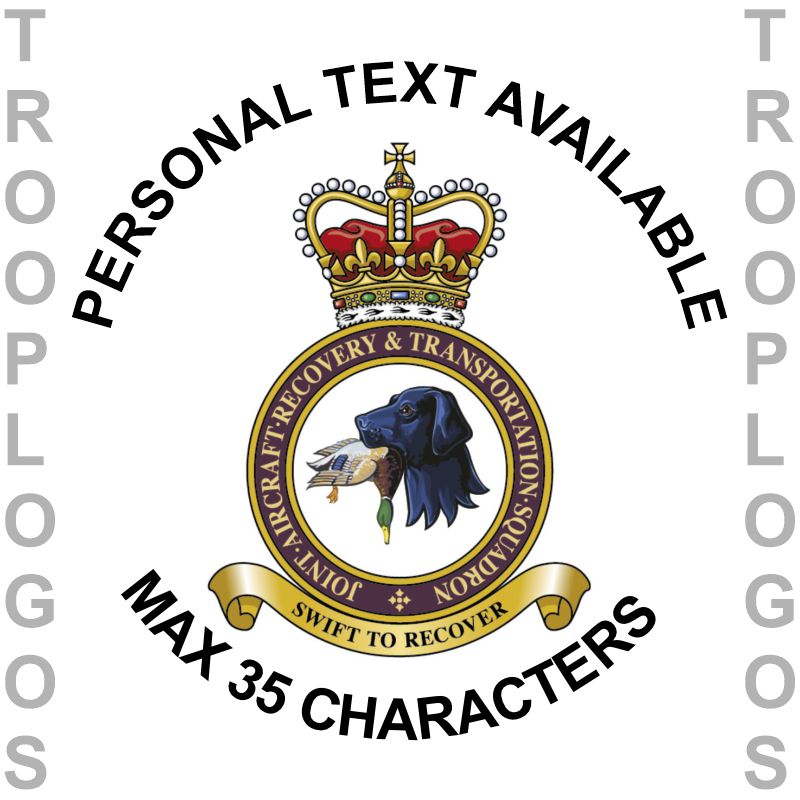 RAF JARTS Badge