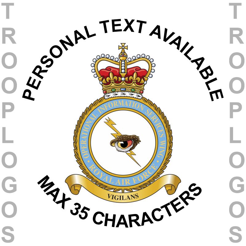 RAF Operational Information Services Badge